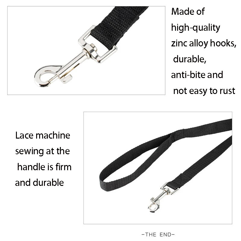 Nylon Dog Training Leash in 10M, 20M, 30M Lengths and Multiple Colors.